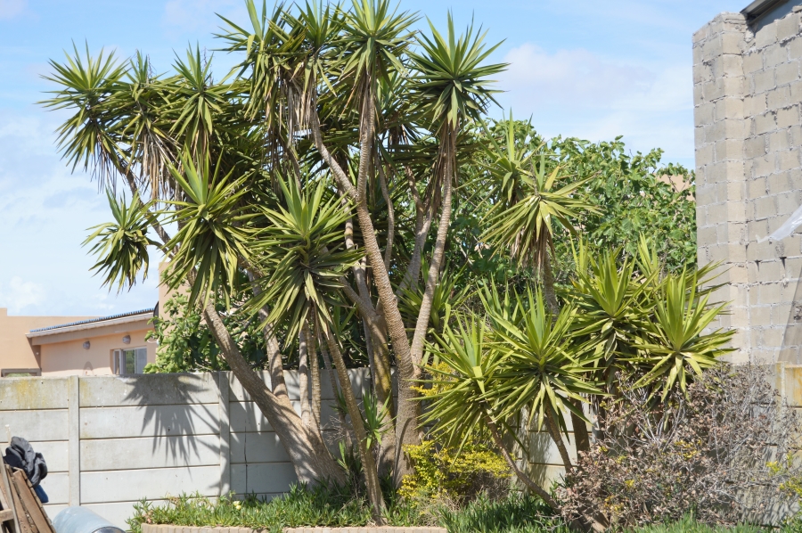 4 Bedroom Property for Sale in Britannia Bay Western Cape